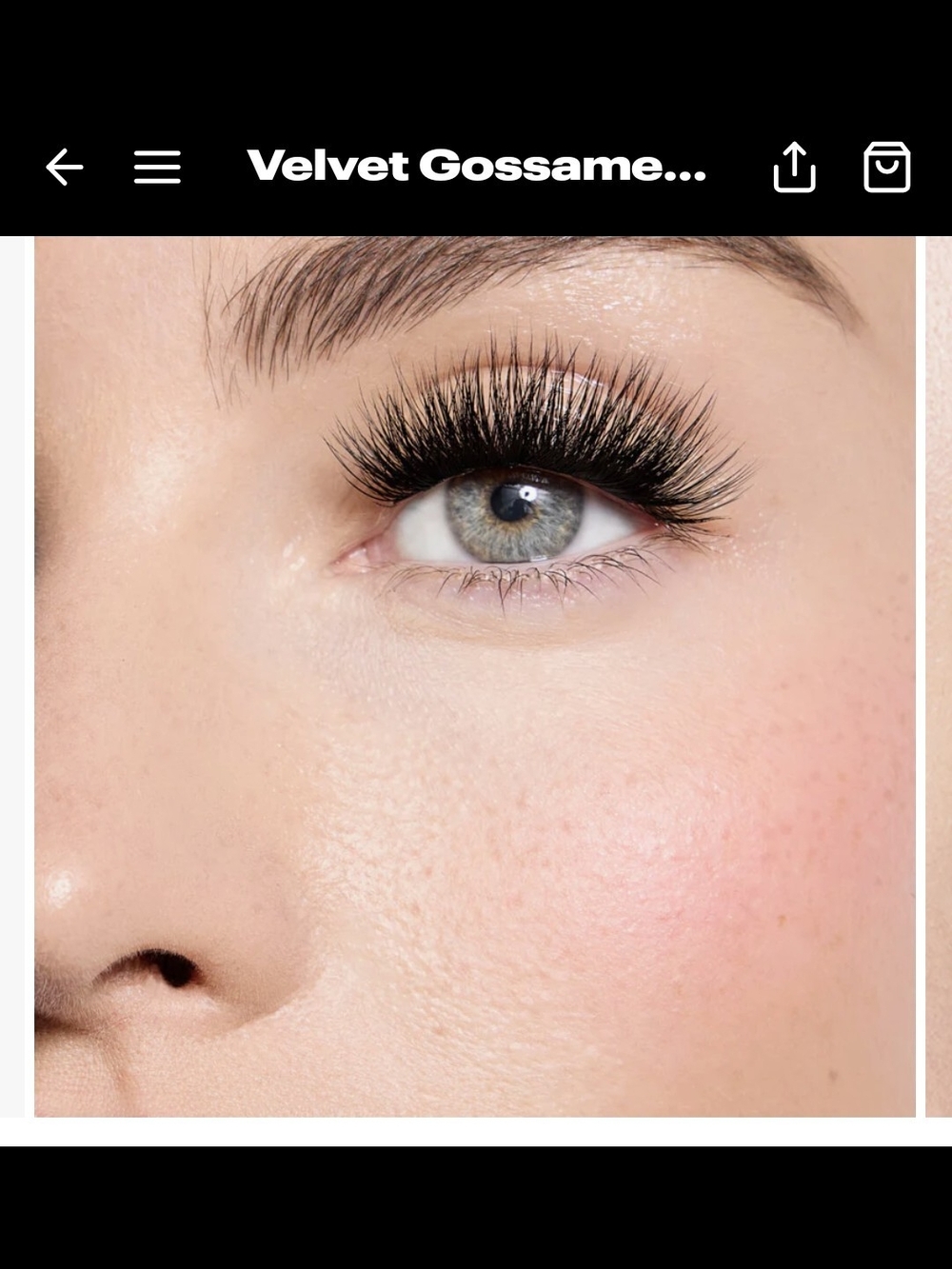 LASHIFY Velvet Gossamer Lashes - Black V10, V12